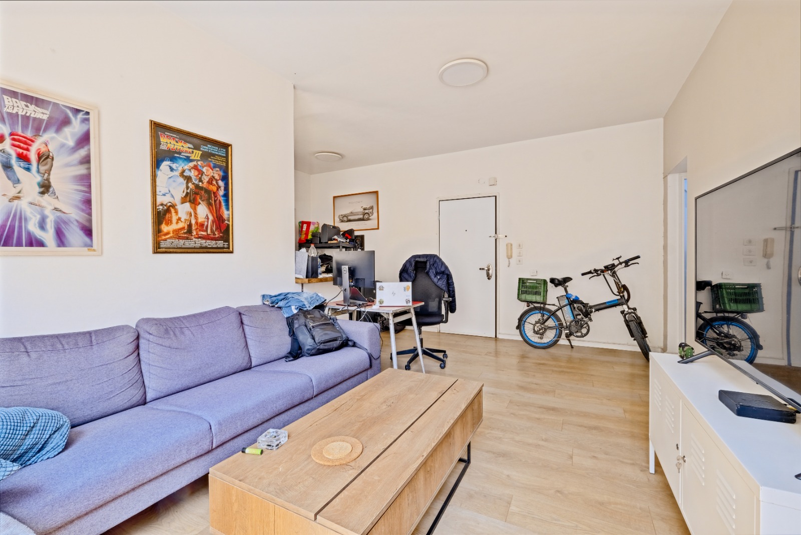 סלון + כניסה לדירה