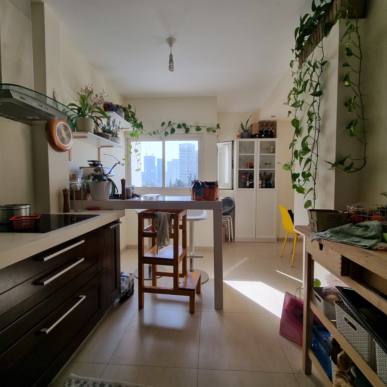 מבט על הדירה