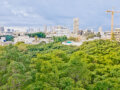 נוף ירוק מהדירה