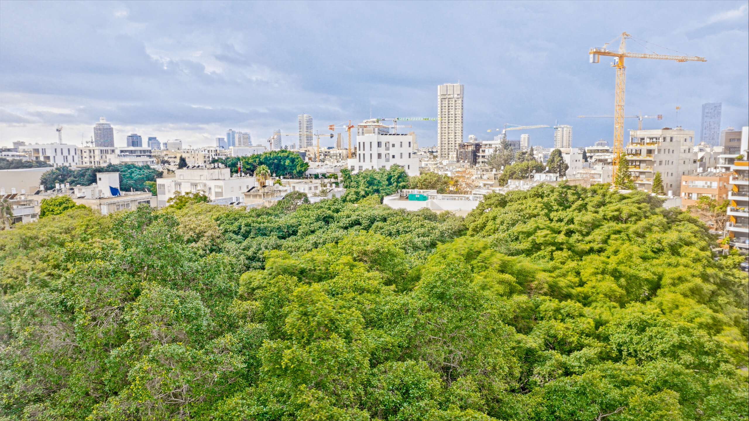 נוף ירוק מהדירה