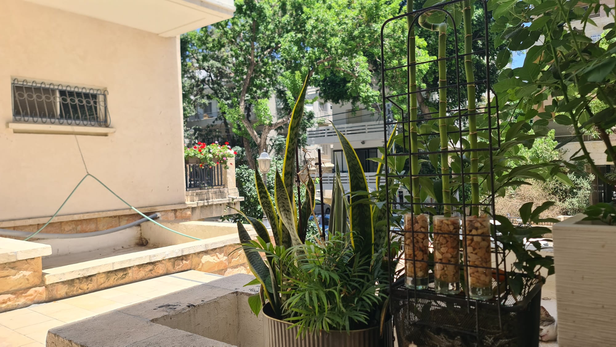 שלמה המלך 31-33
