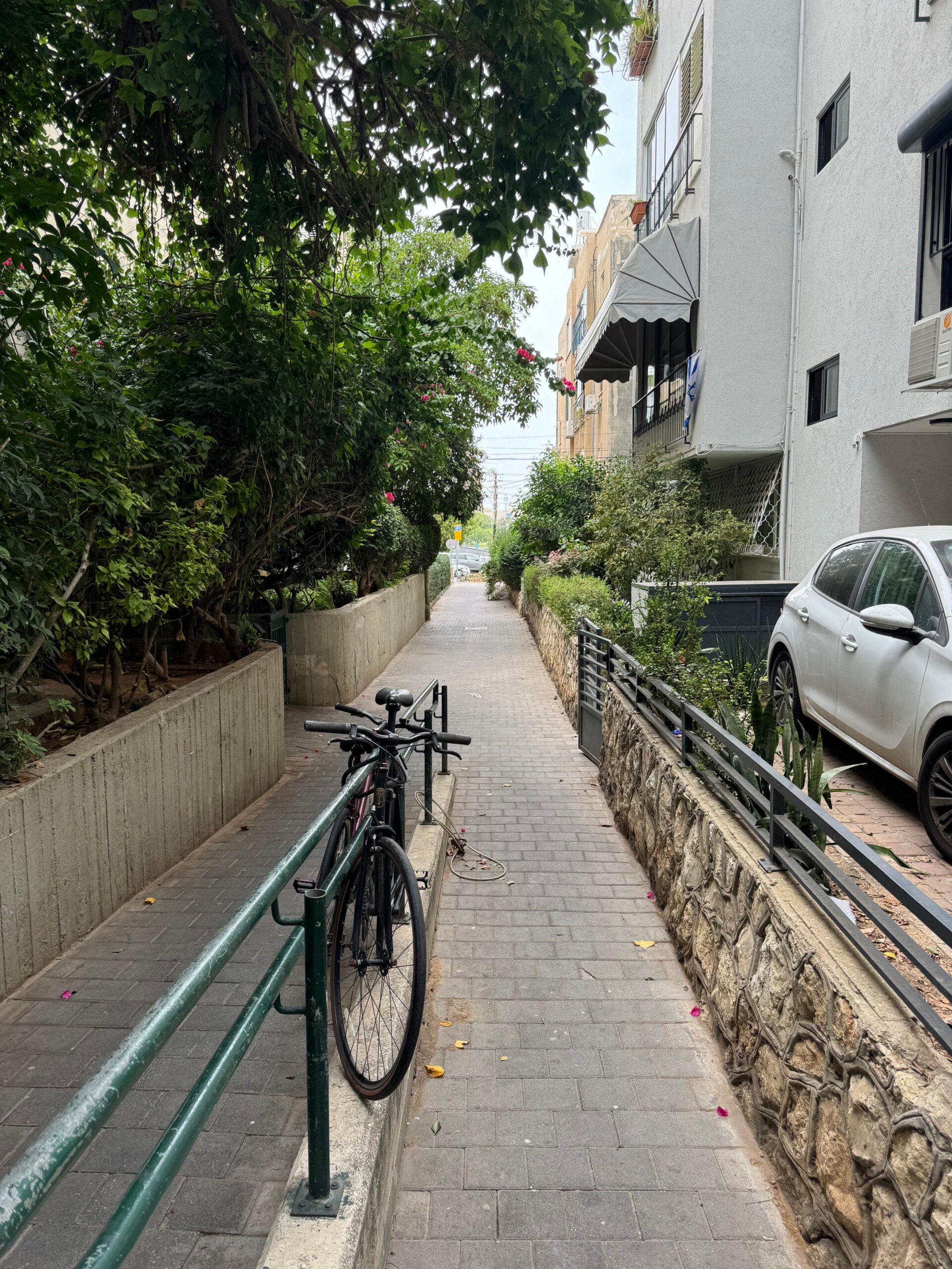 רחוב איכותי בצפון הישן